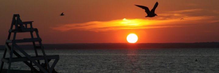 corngarcia's profile banner image