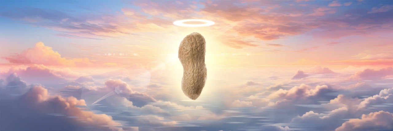 peanutonspl's profile banner image