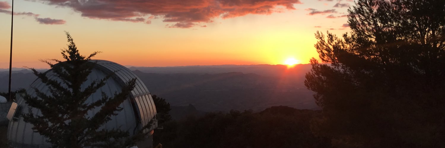 Allyson Bieryla banner