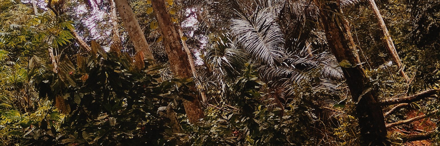 zhafranrn's profile banner image