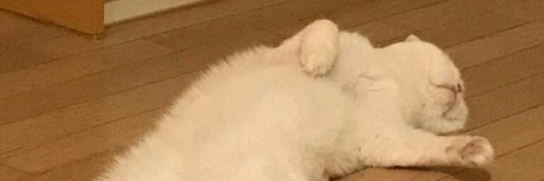 LewisNVH's profile banner image