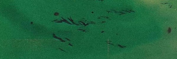 with_melts Profile Banner