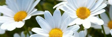 marrrgz's profile banner image