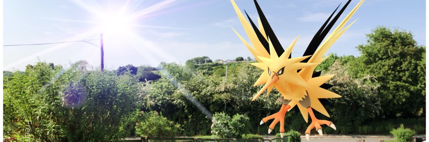 Snarf19's profile banner image