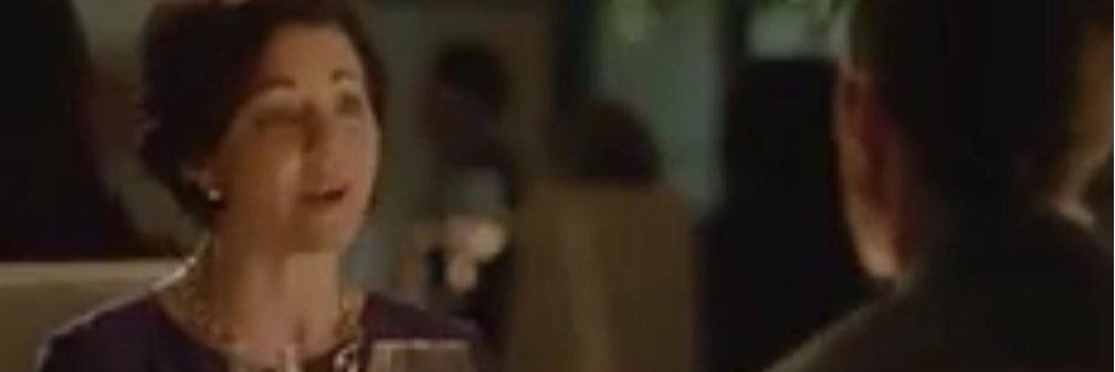 PatagoniaVest Panican banner