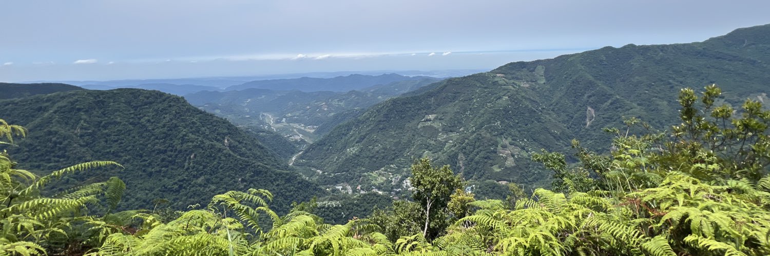 Guang Liang Chen banner