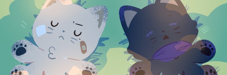 Kiminoaibo's profile banner image
