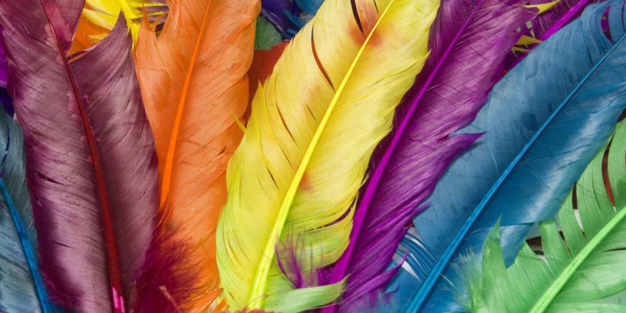 quills's profile banner image