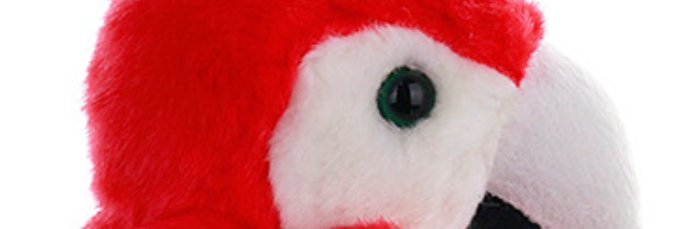 bark banner
