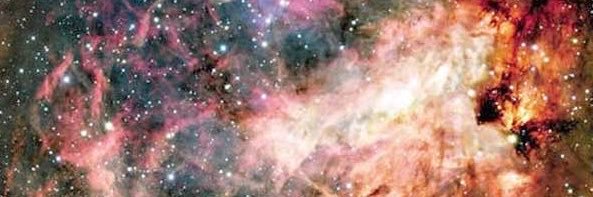TurnX_codm's profile banner image