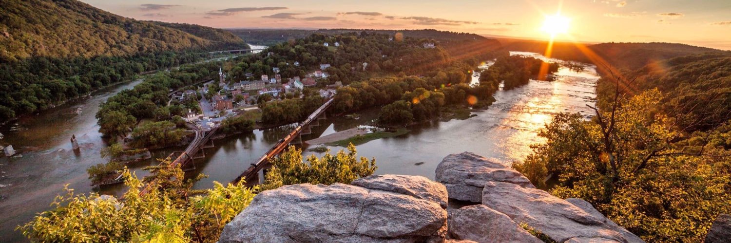 ConsciousCallus banner