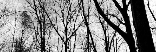 uusaint Profile Banner