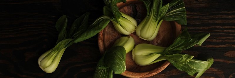 Amanda Archibald, RD banner