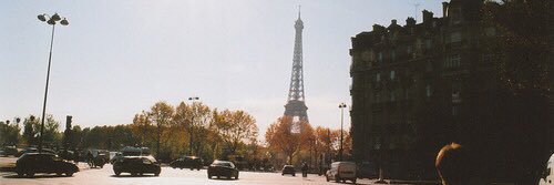 flores_527's profile banner image