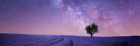 🌌Astra🌌 - Strumie 🖤🤍💜 banner