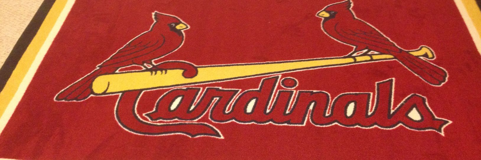 Eric L 🇺🇸⚾️ banner