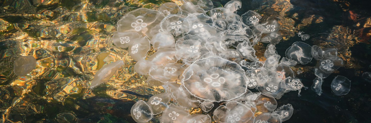 helensix's profile banner image