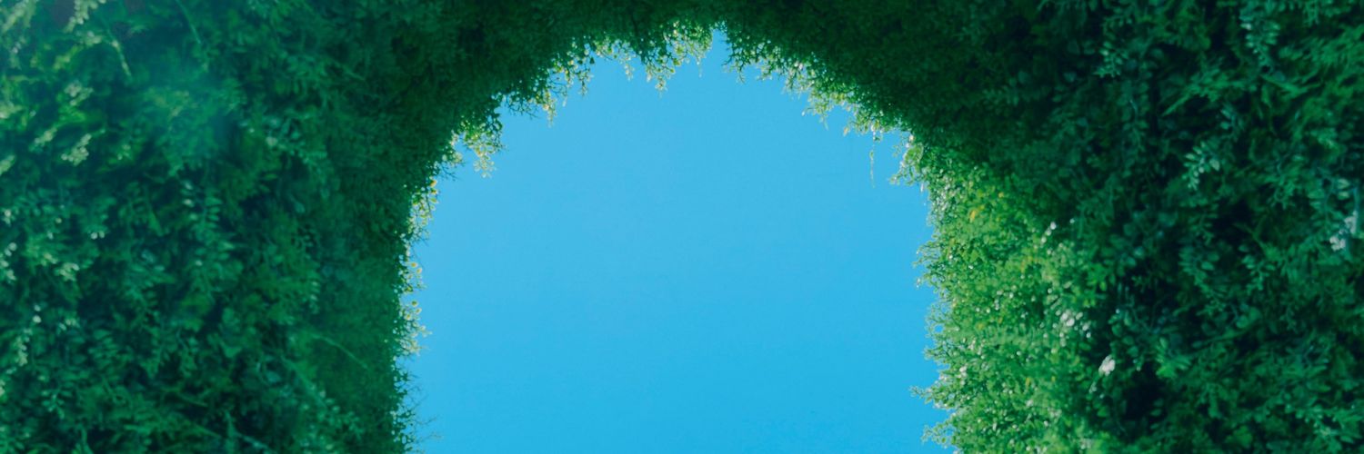 🤾‍♀️DD banner