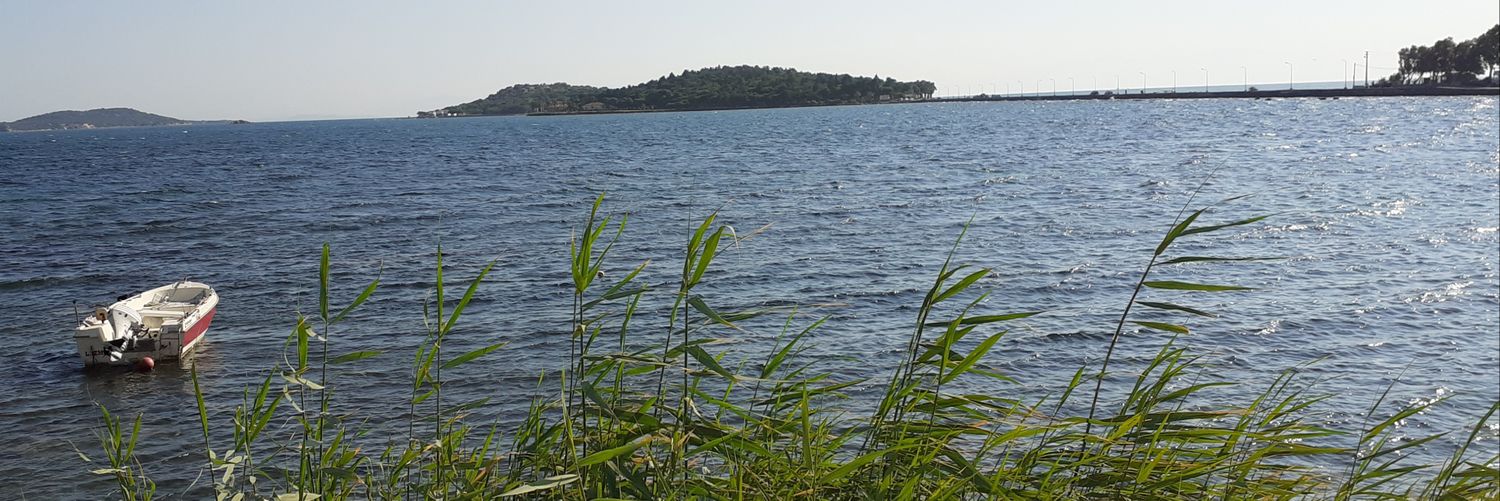 secilbasak's profile banner image