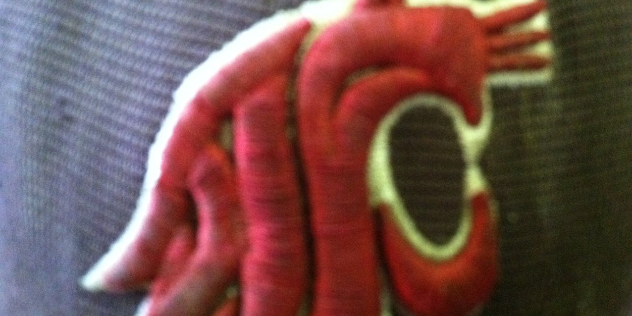 icougman's profile banner image