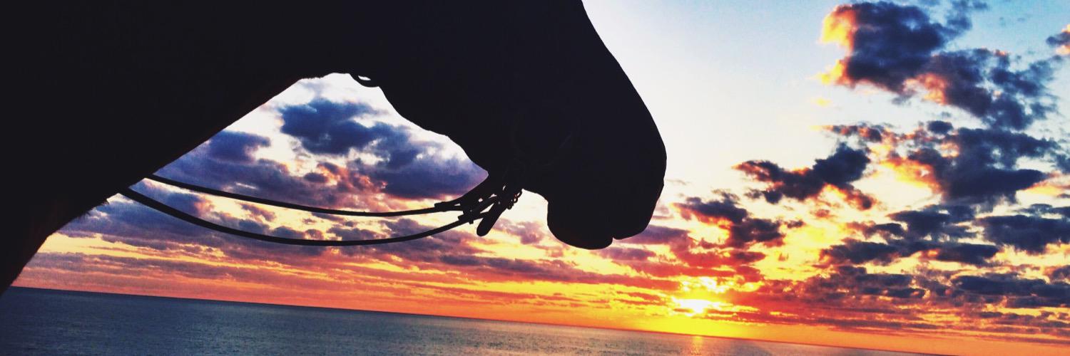 anniedevoe's profile banner image