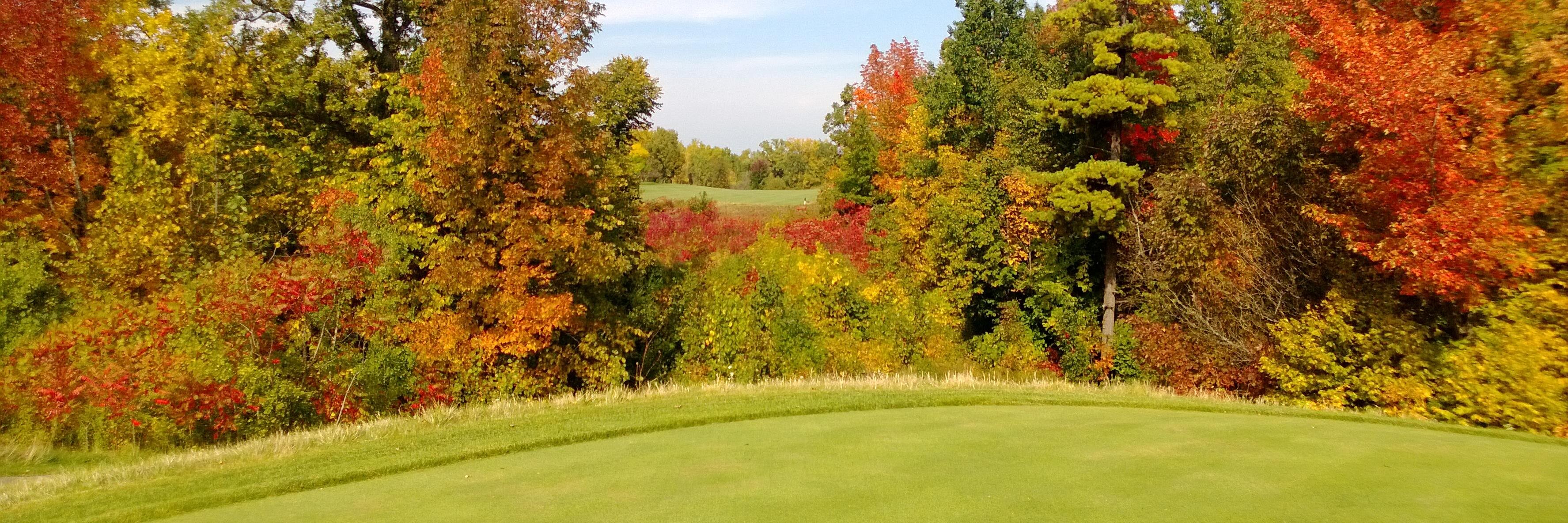 Brian O'Shaughnessy banner