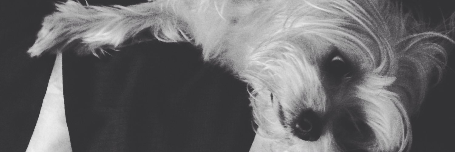 MrChrisRuben's profile banner image