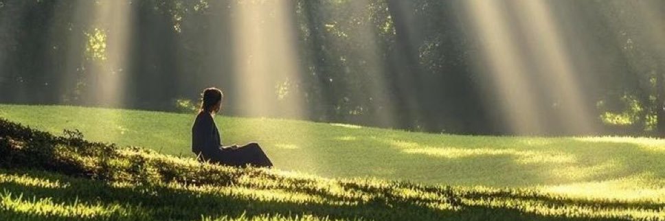 Dear Human banner