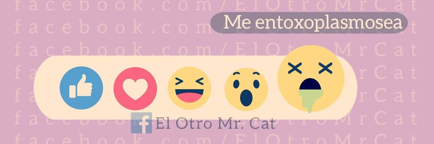 _MrCat's profile banner image