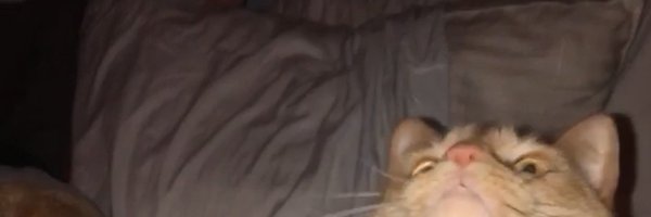 buttgravity69 Profile Banner