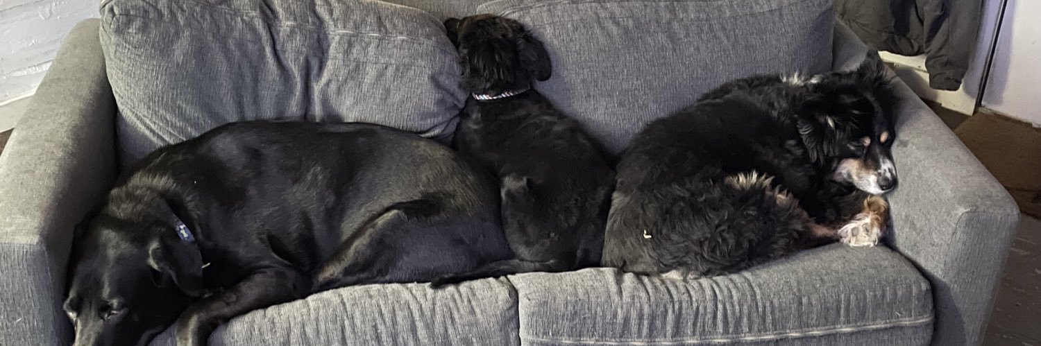 Grumpy Caribou banner