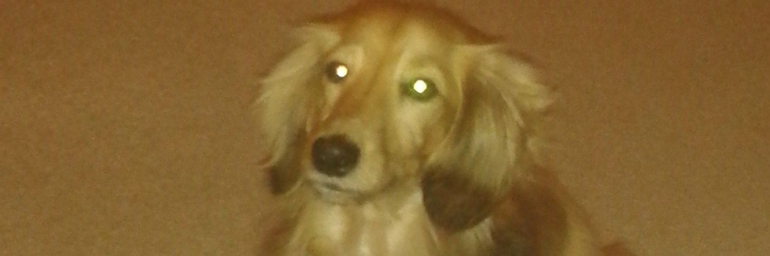 jloades123's profile banner image