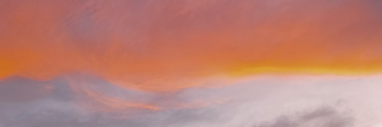 Rociomln's profile banner image