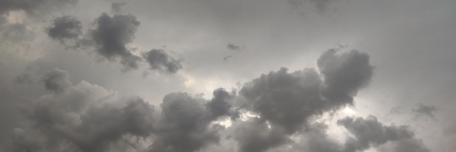 Cactus_Dancer's profile banner image