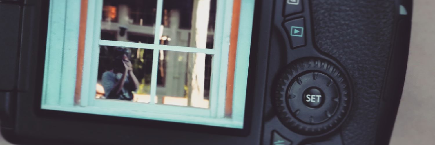 LittleZu's profile banner image