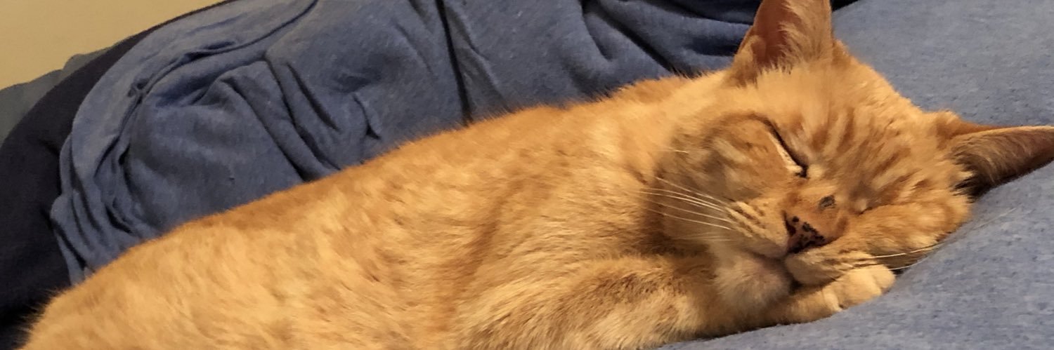 MMurphalicious's profile banner image