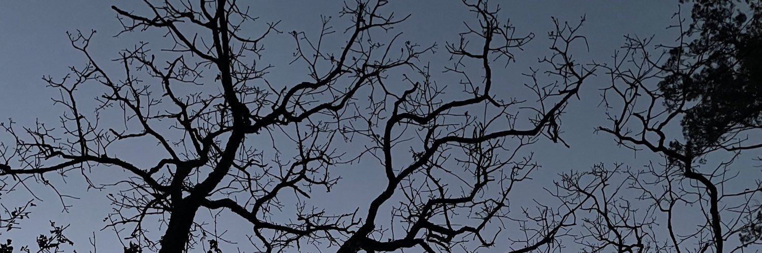 Boi_GTFO's profile banner image
