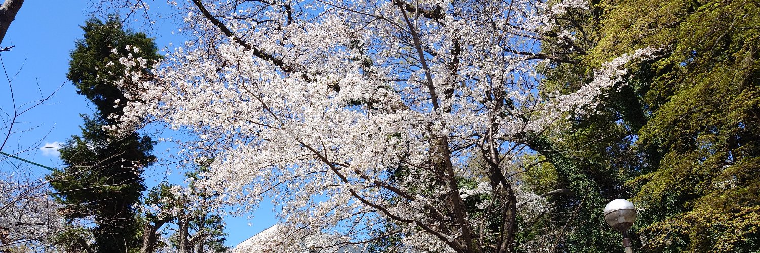 東京大学総合文化研究科・国際社会科学専攻's banner