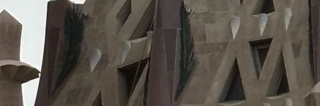 ana lia varela banner