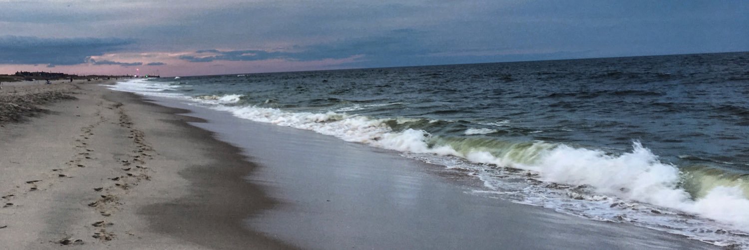 DeanaSpinelli_'s profile banner image