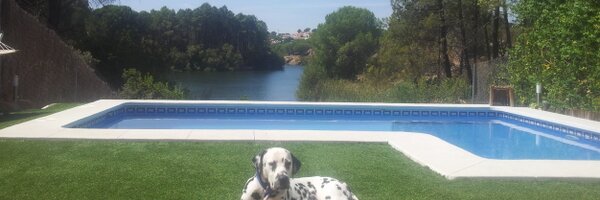 fon_7 Profile Banner