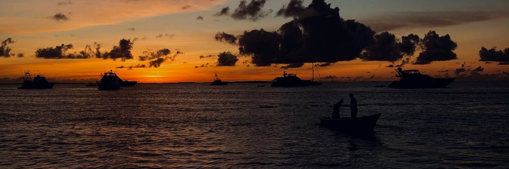 nuniestrella's profile banner image