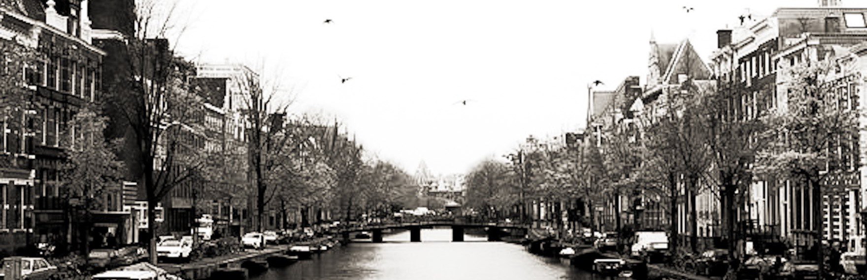 𝑺𝑲𝑨𝑯 𝑨𝑩𝑰𝑷𝑹𝑨𝒀𝑨. banner