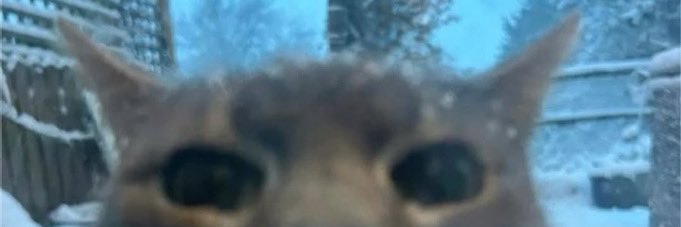 btcarchangel's profile banner image