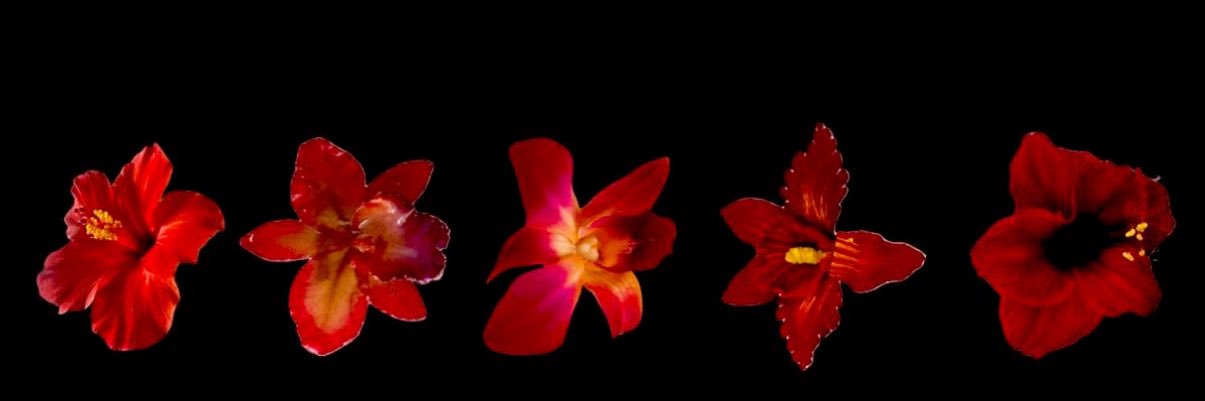 seesha93's profile banner image