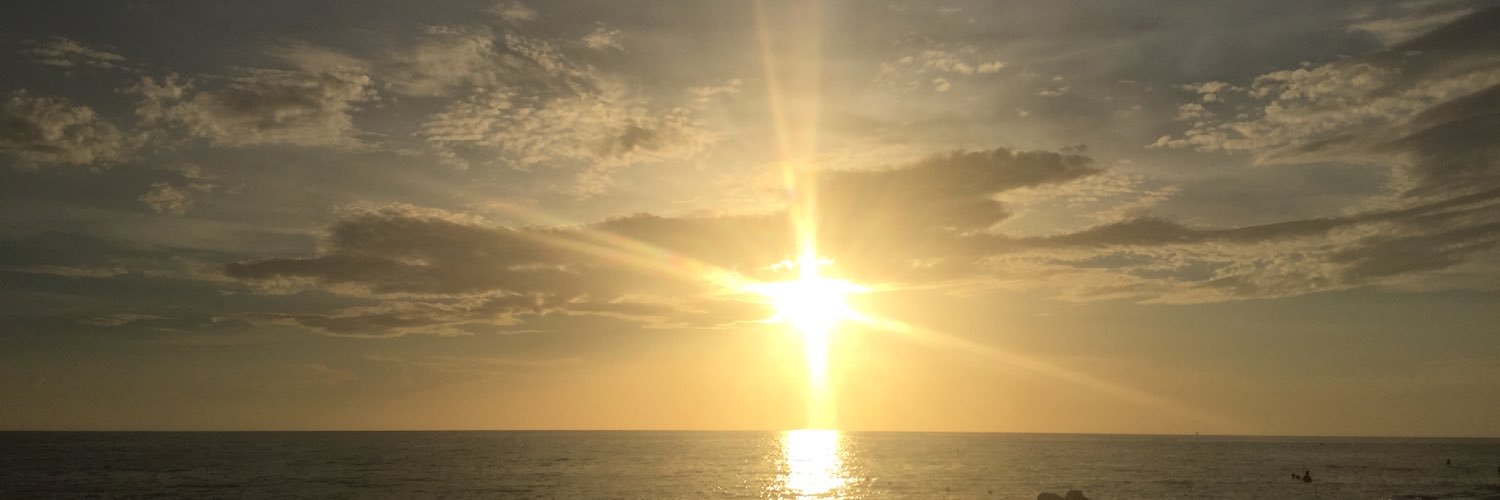 megantirabassi's profile banner image