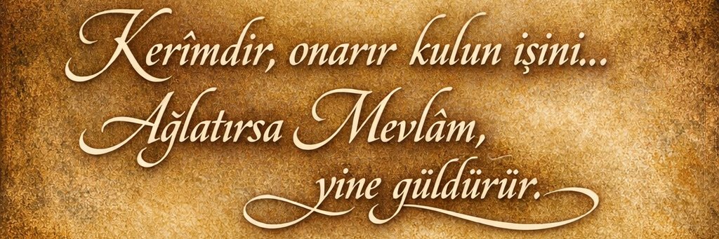 ʇǝɯɥǝƜ ƜIᖈIᗡꞀI⅄ banner
