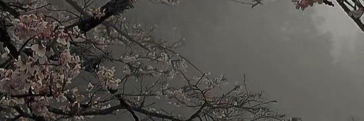bla642366's profile banner image