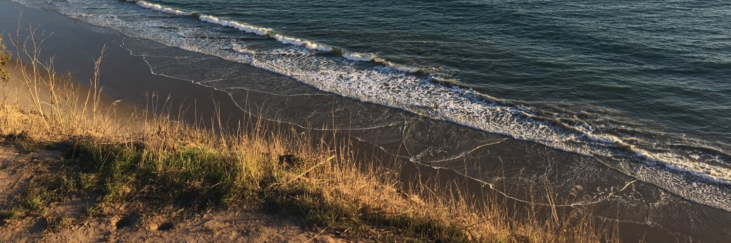 sk8bird's profile banner image