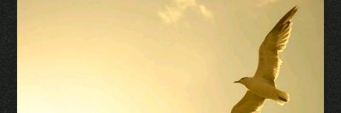 ybendahan's profile banner image